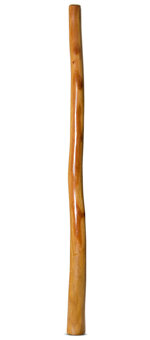 Gloss Finish Didgeridoo (TW1318)